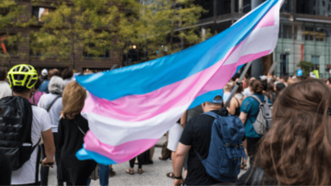 Trans Pride march, there is a large Trans Pride flag