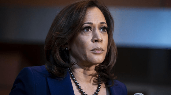 A woman with shoulder-length brown hair, wearing a dark blazer, a necklace of black beads, and matching earrings, is holding a microphone and looking slightly to her left with a serious expression. The background is blurred, focusing attention on her as she discusses issues related to the 2020 election.