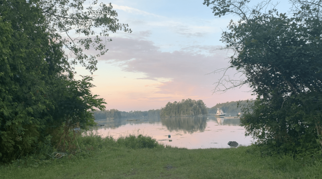 A serene lake at dawn with a pink-hued sky, like a scene from a calm documentary. The lake, framed by lush green trees, holds a small distant island. The tranquil water reflects the sky and surrounding foliage perfectly, with an almost sadness-reflected peace in its mirror-like effect.