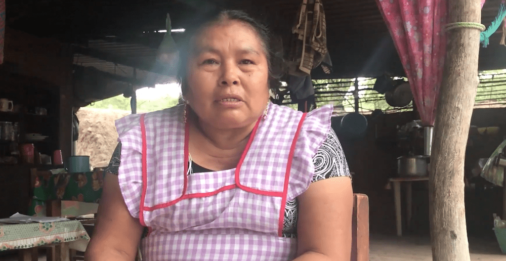 A woman wearing a checkered pink apron sits indoors, facing the camera. The background features various household items, including hanging utensils and cloth. The lighting is soft, creating a homely atmosphere reminiscent of Tlin-Kelnamike-No-Lola-(My-Grandmothers-Memories).