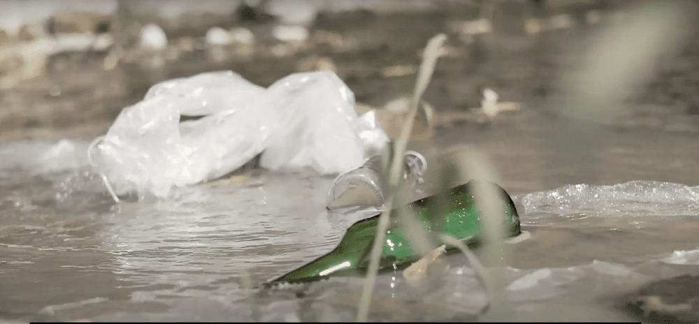 Close-up of plastic waste and a green glass bottle floating in murky water, with blurry, out-of-focus foliage in the foreground. The floating waste, including a crumpled plastic bag, underscores the pollution plaguing our community's natural water bodies.